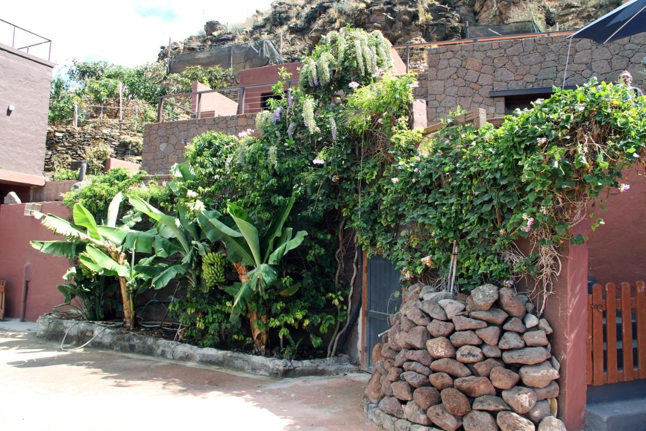 Tonono'S Village Santa Maria de Guia de Gran Canaria Exterior foto