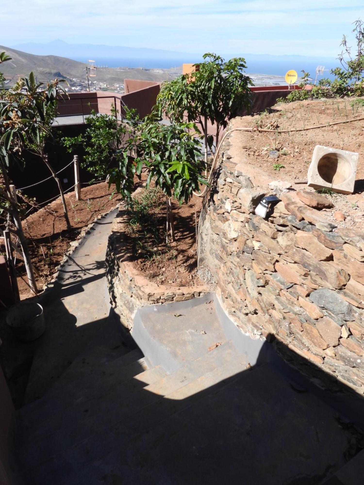 Tonono'S Village Santa Maria de Guia de Gran Canaria Exterior foto